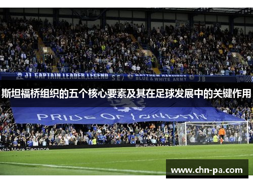 斯坦福桥组织的五个核心要素及其在足球发展中的关键作用