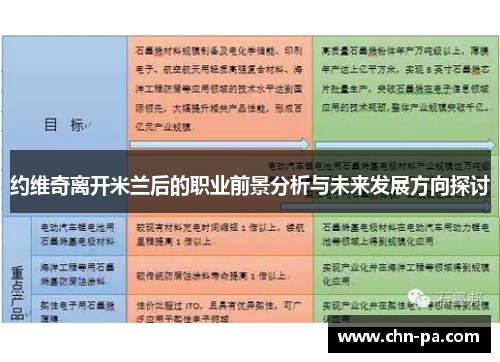 约维奇离开米兰后的职业前景分析与未来发展方向探讨 约维奇离开米兰后的职业前景分析与未来发展方向探讨