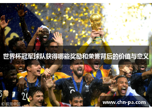 世界杯冠军球队获得哪些奖励和荣誉背后的价值与意义