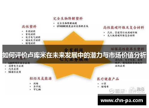 如何评价卢库米在未来发展中的潜力与市场价值分析