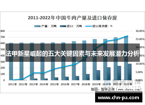 法甲新星崛起的五大关键因素与未来发展潜力分析