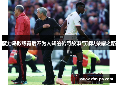 魔力鸟教练背后不为人知的传奇故事与球队荣耀之路
