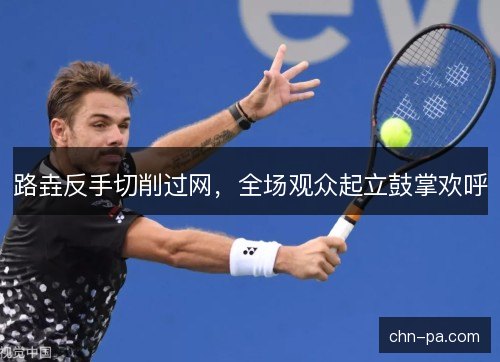 路垚反手切削过网，全场观众起立鼓掌欢呼